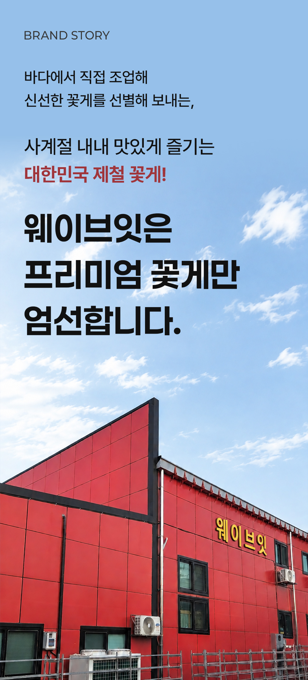 웨이브잇 상세페이지_3.jpg
